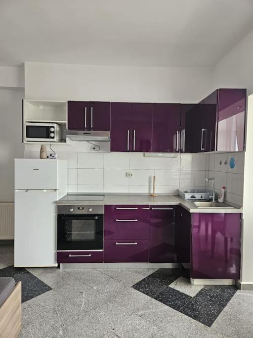Nice Studio In The Heart Of City Bukarest Exteriör bild